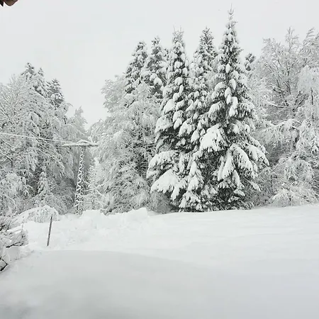 Sagmuhle - Haustierfreundlich
